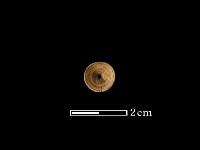 藏品(魚骨珠)的圖片