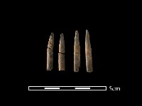 藏品(骨器)的圖片