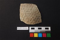 藏品(陶片)的圖片