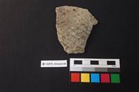 藏品(陶片)的圖片