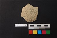 藏品(陶片)的圖片