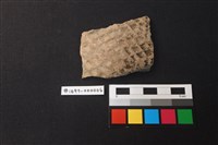 藏品(陶片)的圖片