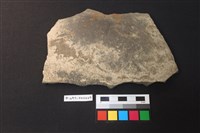 藏品(陶片)的圖片