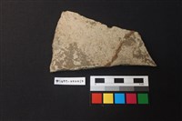 藏品(陶片)的圖片