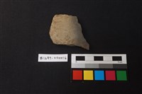 藏品(陶片)的圖片