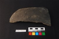 藏品(陶片)的圖片