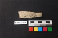 藏品(陶片)的圖片