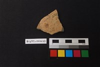 藏品(陶片)的圖片