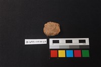 藏品(陶片)的圖片