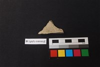 藏品(陶片)的圖片