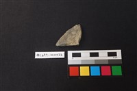 藏品(陶片)的圖片