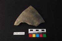 藏品(陶片)的圖片