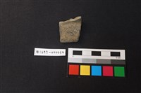 藏品(陶片)的圖片