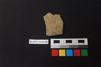 藏品(陶片)的圖片