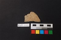 藏品(陶片)的圖片