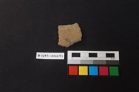 藏品(陶片)的圖片