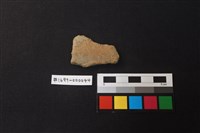 藏品(陶片)的圖片