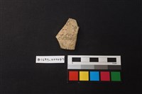 藏品(陶片)的圖片