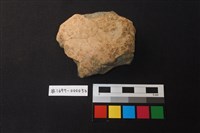 藏品(陶片)的圖片