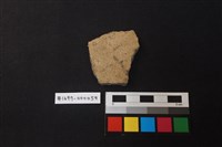 藏品(陶片)的圖片