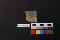 藏品(陶片)的圖片