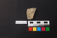 藏品(陶片)的圖片