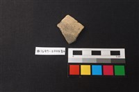 藏品(陶片)的圖片