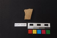 藏品(陶片)的圖片