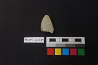 藏品(陶片)的圖片