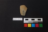 藏品(陶片)的圖片