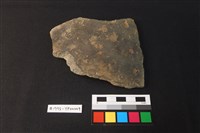 藏品(陶片)的圖片