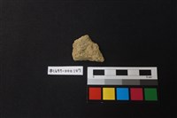 藏品(陶片)的圖片