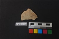 藏品(陶片)的圖片