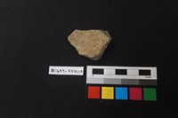 藏品(陶片)的圖片