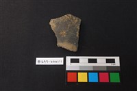 藏品(陶片)的圖片