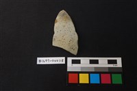 藏品(陶片)的圖片