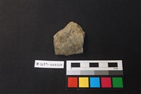 藏品(陶片)的圖片