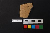 藏品(陶片)的圖片