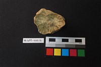 藏品(陶片)的圖片