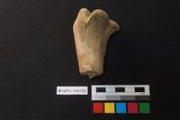 藏品(陶片)的圖片