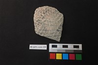 藏品(陶片)的圖片