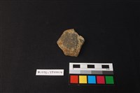 藏品(陶片)的圖片