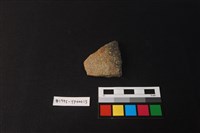 藏品(陶片)的圖片