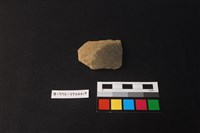 藏品(陶片)的圖片