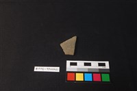 藏品(陶片)的圖片