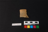 藏品(陶片)的圖片