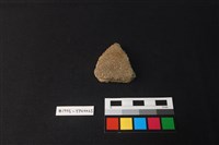 藏品(陶片)的圖片