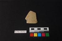 藏品(陶片)的圖片