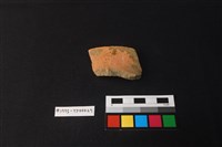 藏品(陶片)的圖片