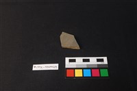 藏品(陶片)的圖片